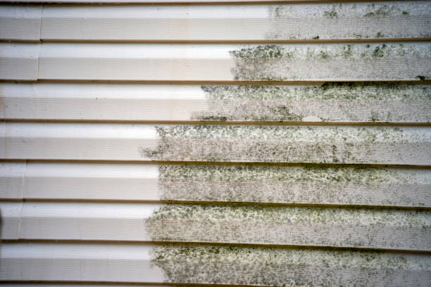 Best Carpet Removal and Disposal  in West Pensacola, FL